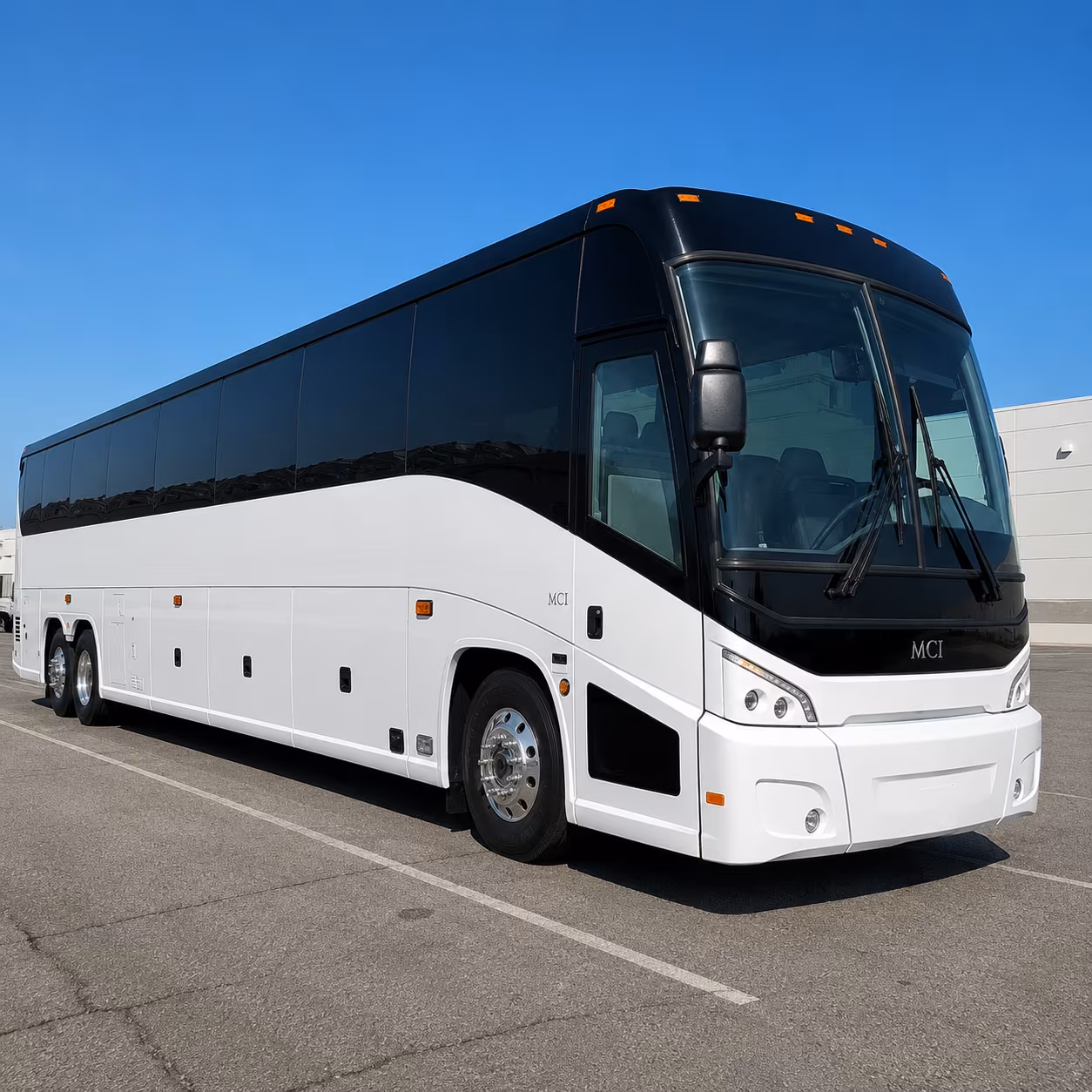 sea turtle inc and south padre island school group transportation